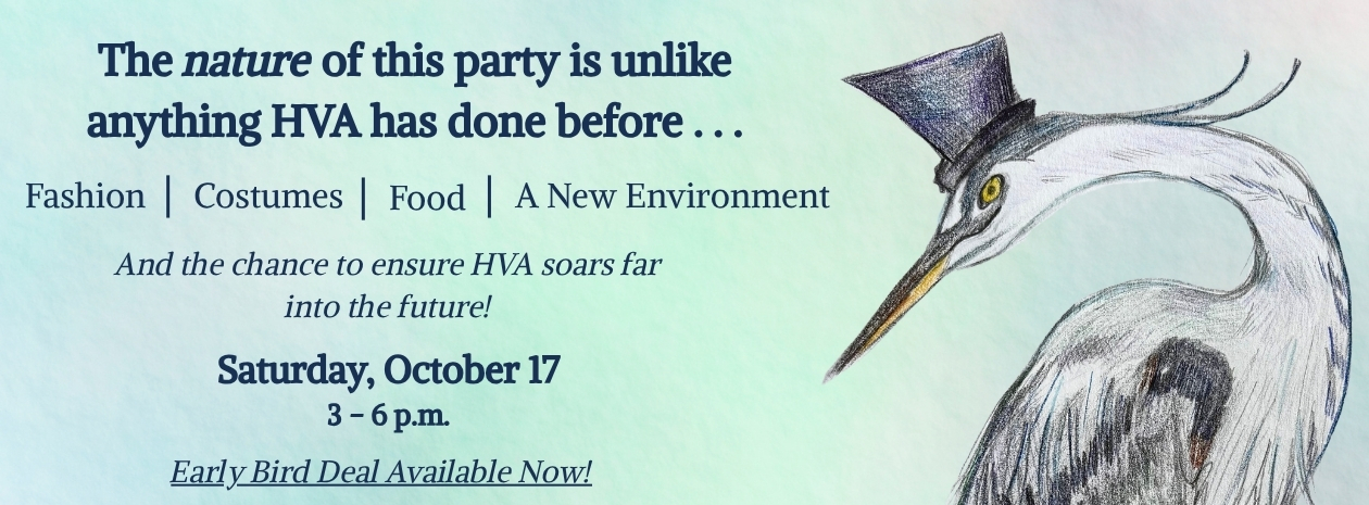 RiverVisions: HVA's 85th Birthday Bash & Fundraiser